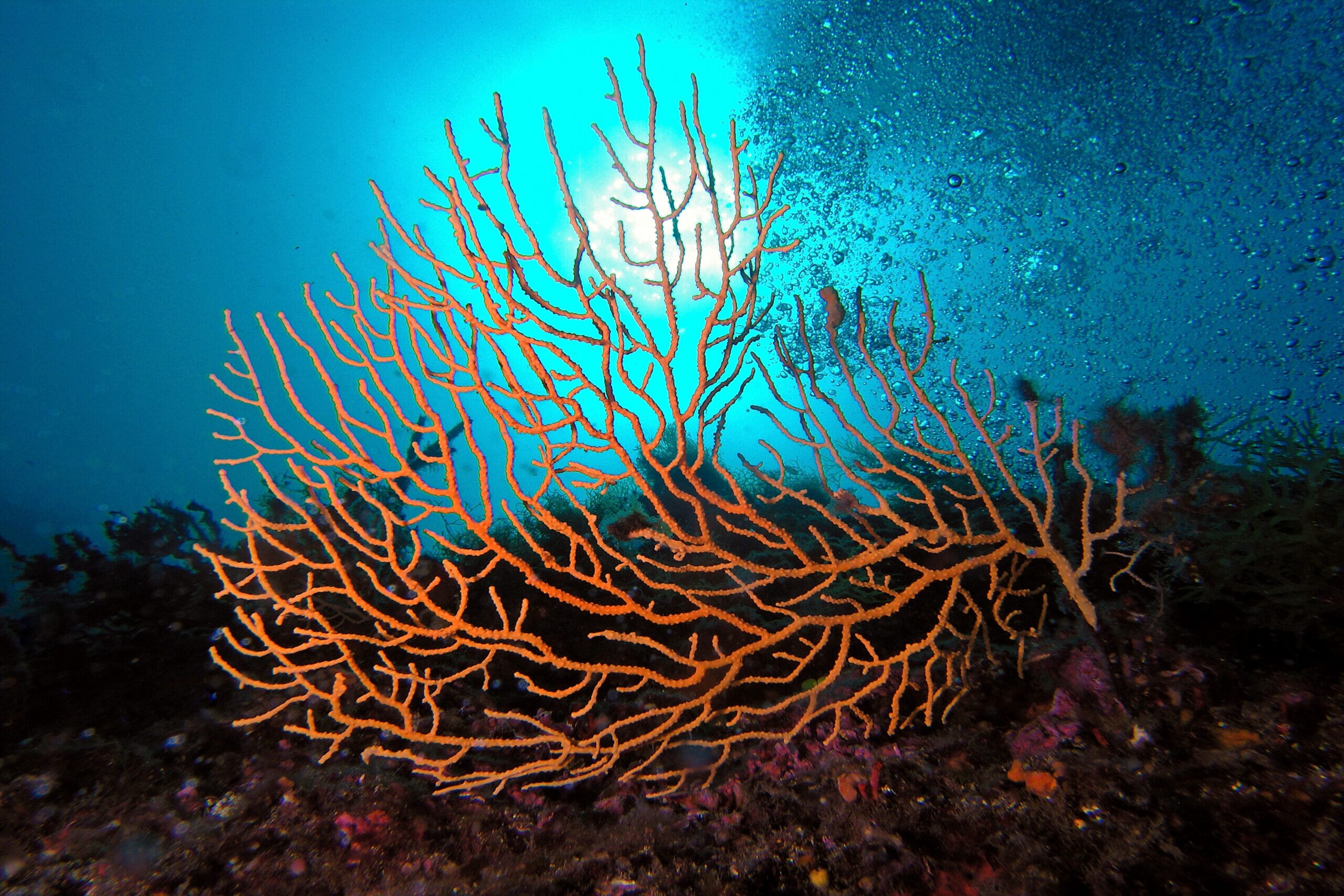 image-banner-internal-4-scaled.jpg?w=1024&h=683&scale